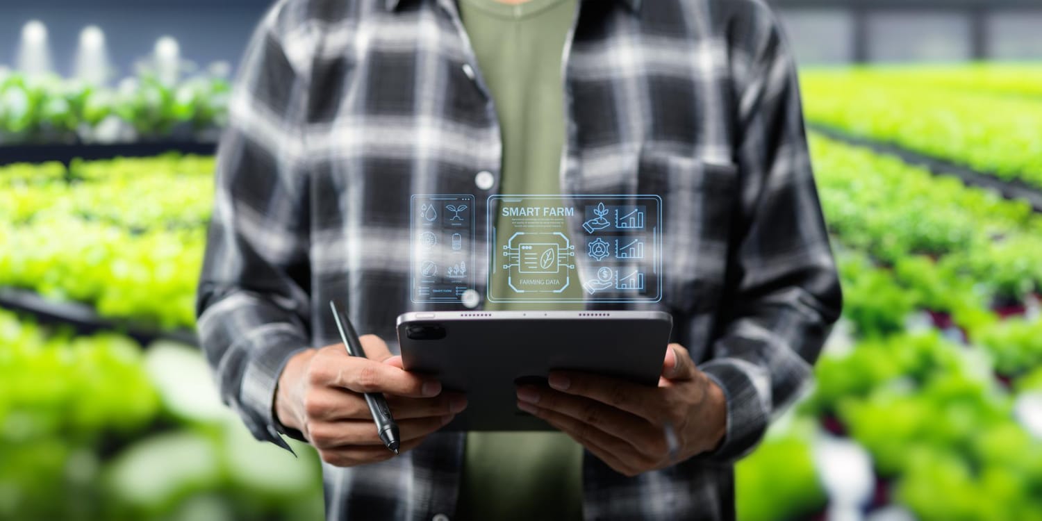 Cibersegurança no agronegócio com 5 estratégias de proteção digital